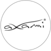 Axami Axami