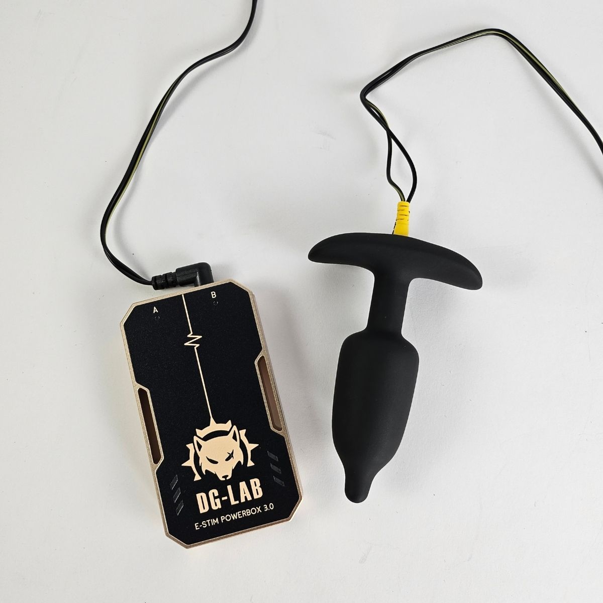 DG-LAB Coyote 3.0 mit Zubeh�r