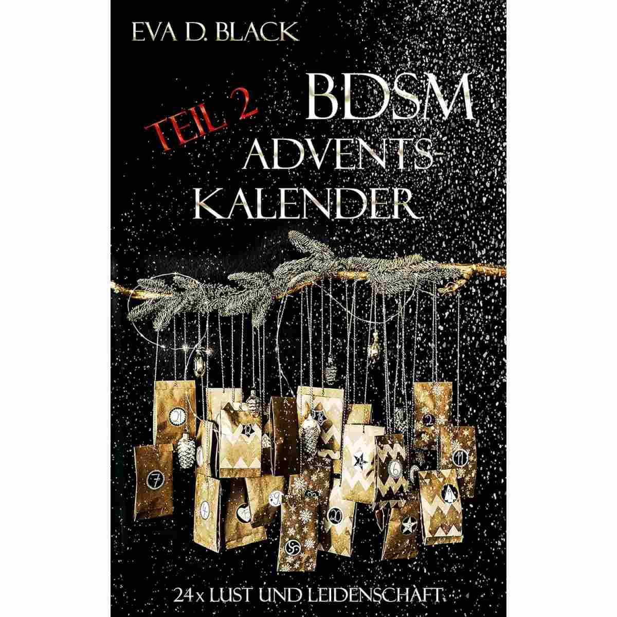 BDSM-Adventskalender Teil 2 | 24 Geschichten | Eva D. Black