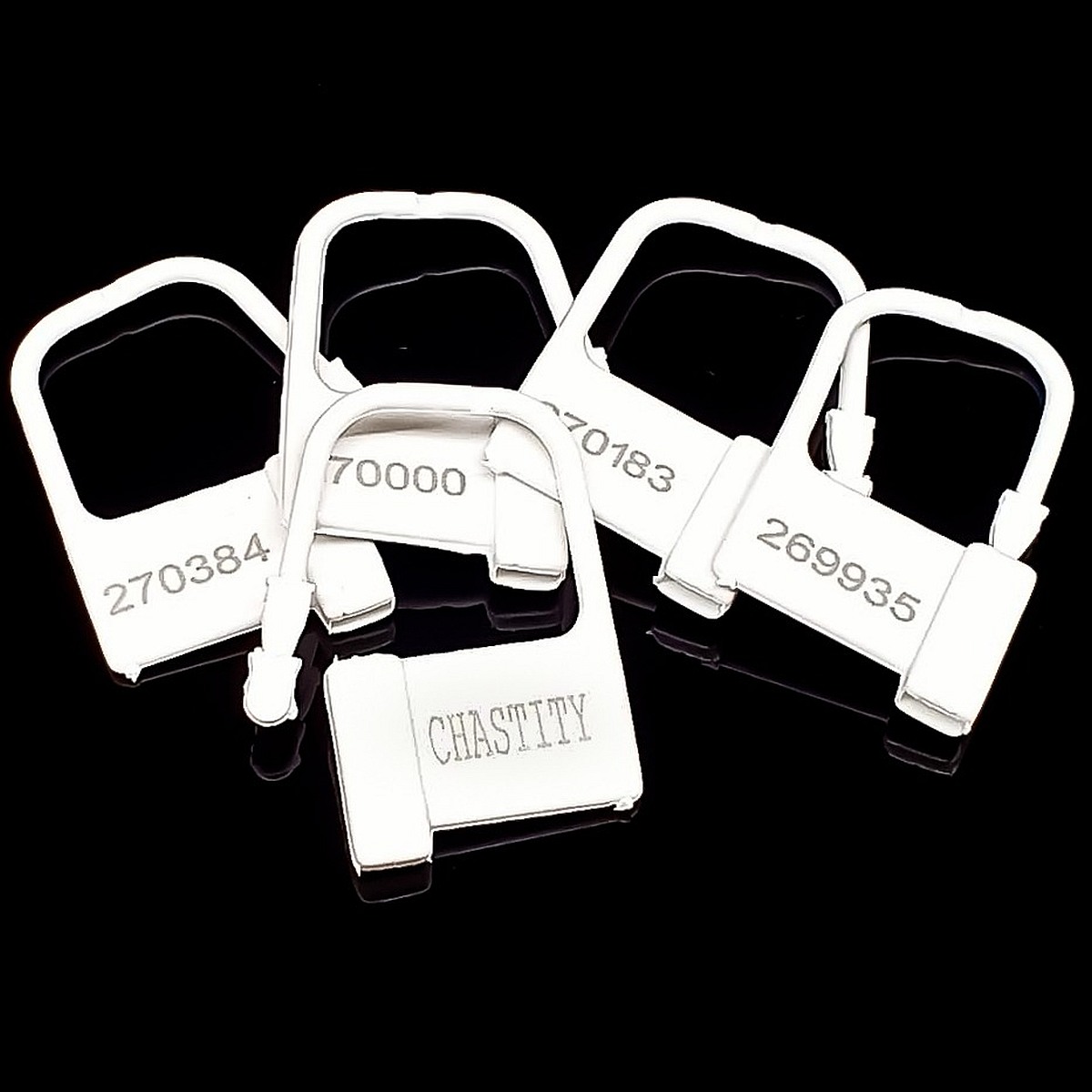 CB6000 Plastik-Schloss  5er Set