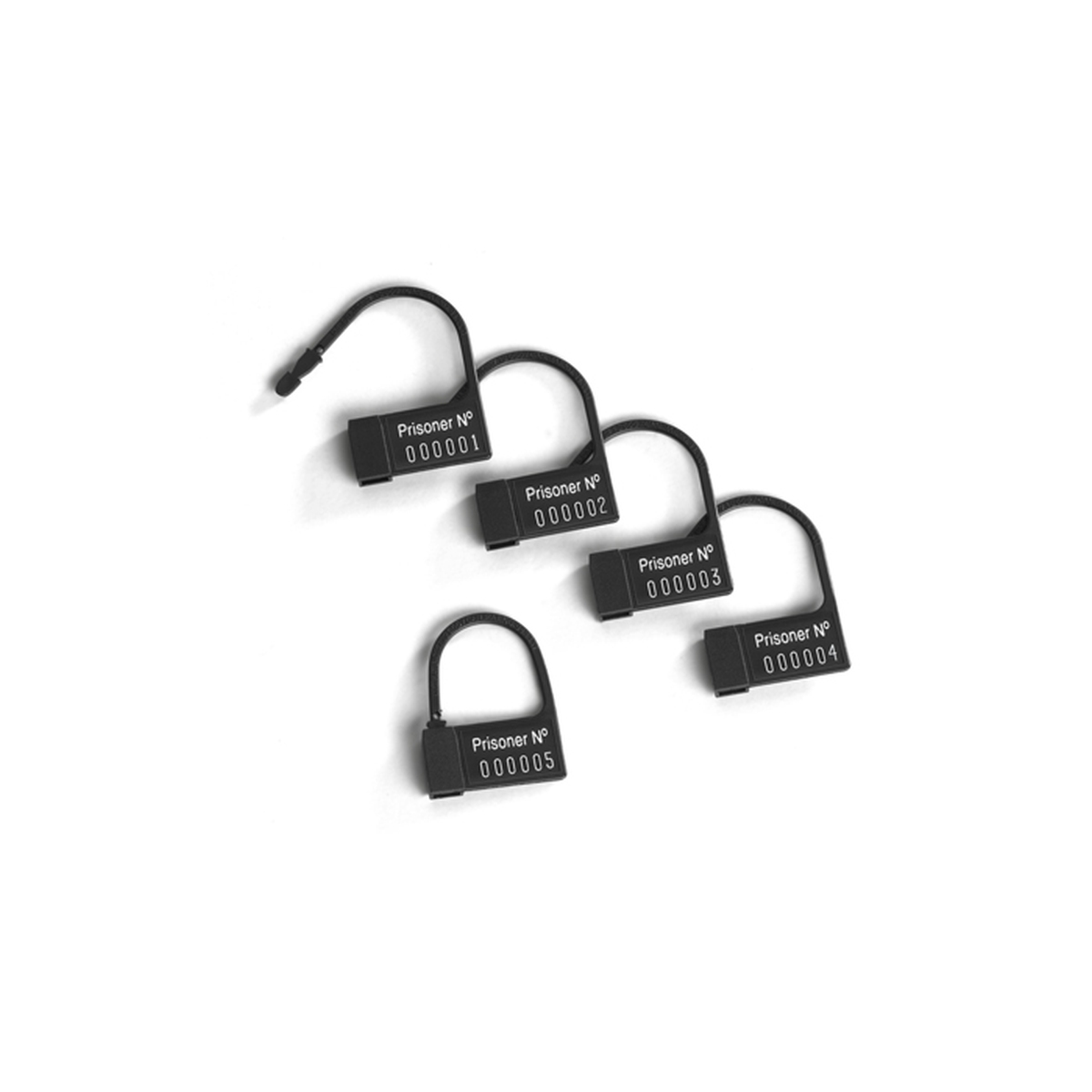 CB6000 Plastik-Schloss  5er Set